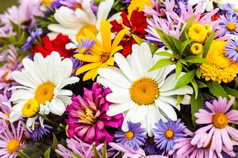 Chagnon Funeral Home | Caring Support for Families in Times of Need