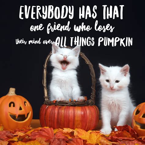 Halloween Memes - Hilarious Pics to Share this Hallow Day