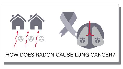 Safe at Home: Preventing Lung Cancer by Reducing Radon in the Home | UGA Cooperative Extension