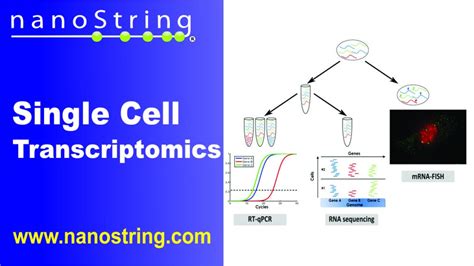 Image result for Transcriptomics technologies Single-cell Transcriptomics