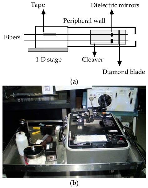 Low-Frequency Vibration Sensor with Dual-Fiber Fabry–Perot ...