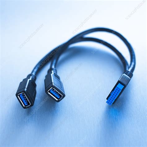 Firewire cable - Stock Image - F012/1300 - Science Photo Library