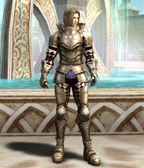 Lineage2 Community ヘビーアーマー(全身)