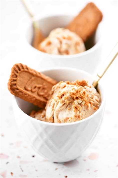 Biscoff Ice Cream - The Gunny Sack