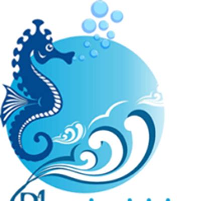 Blue bubble water park - Festivals Events | AllEvents