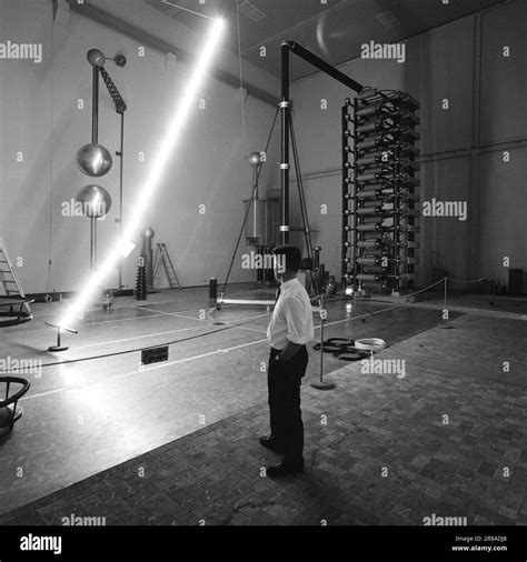 Years Old Abbreviation