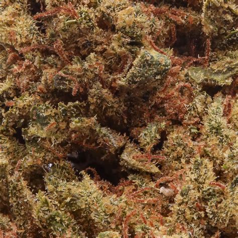 HyperWolf Face on fire thca flower 8th Strain (Indica)