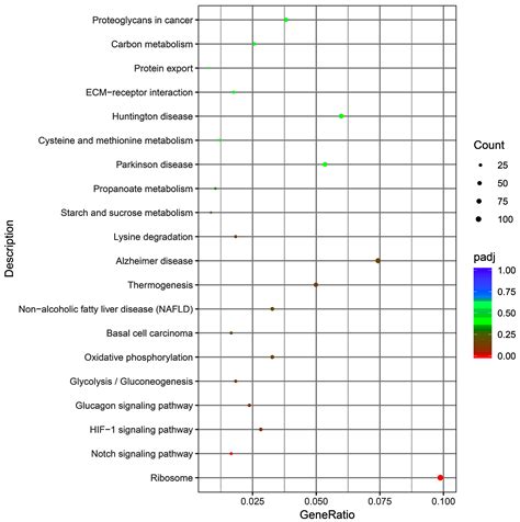 Hair Follicle Transcriptome Analysis Reveals Differentially Expressed Genes That Regulate Wool ...