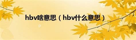 hbv啥意思（hbv什么意思）_城市经济网
