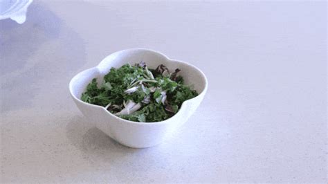 FoodTech Gadgets 的图像结果