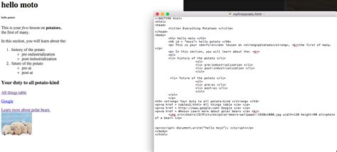 Image result for JavaScript HTML Code