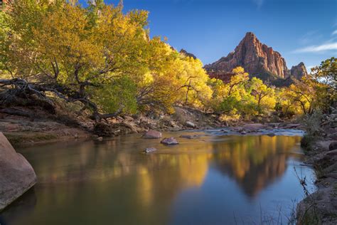 All That's Gold - Open Doors