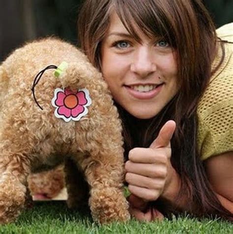 Strange Inventions 的图像结果