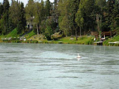 EDGEWATER LODGE & RV PARK (Soldotna, Alaska) - Lodge Reviews & Photos ...