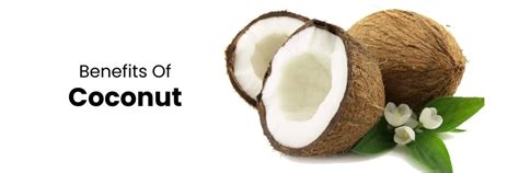 6 beneficios esenciales para la salud al agregar coco a su dieta