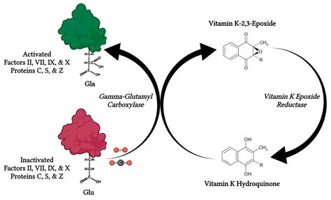 Ist Clexane Ein Vitamin K Antagonist at Tiffany Mora blog