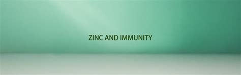 ZINC AND IMMUNITY: THE MISSING LINK – NAKPRO NUTRITION
