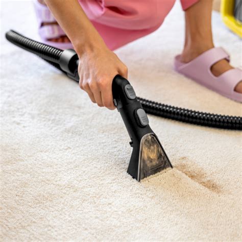 Image result for Karcher Injection Extraction Machine