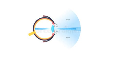 Image result for Eye Visual Field