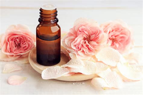 10 Best Aphrodisiac Essential Oils | Natural Aphrodisiac Oils – VedaOils