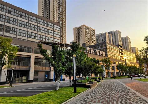 沙坪坝：优化城市管理 城市智能“大管家”上线-中国网客户端
