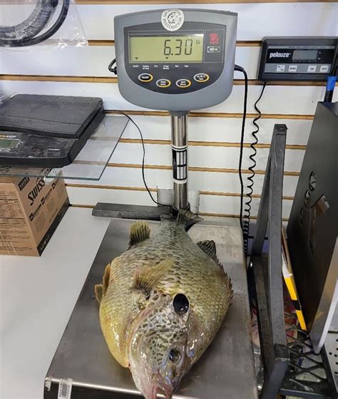 World-Record Redear Sunfish Caught - Wired2Fish