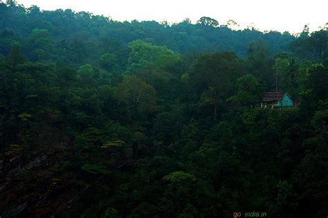 go2india.in : Early morning Jog falls view