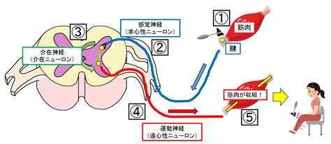 Image result for Localization Methods