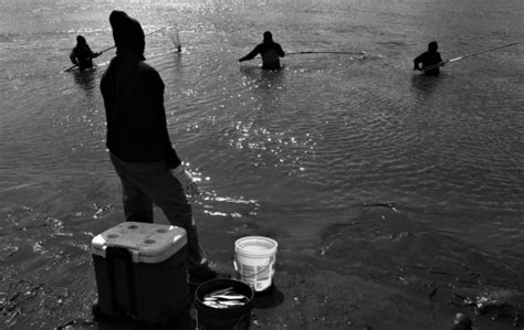 Image result for Russell Mathrame