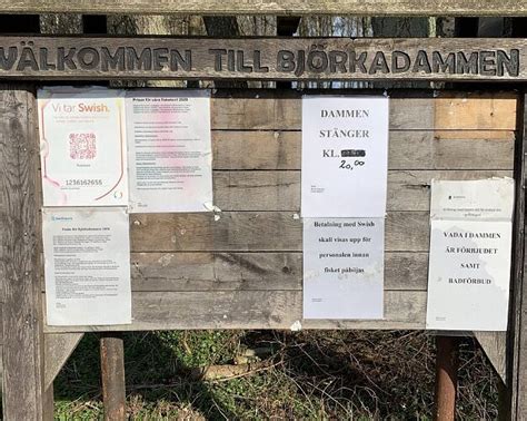 FISKA I BJÖRKADAMMEN (2026) All You Need to Know BEFORE You Go (with ...