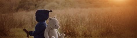Download wallpaper autumn, sunset, stone, toy, boy, bear, child, Teddy ...
