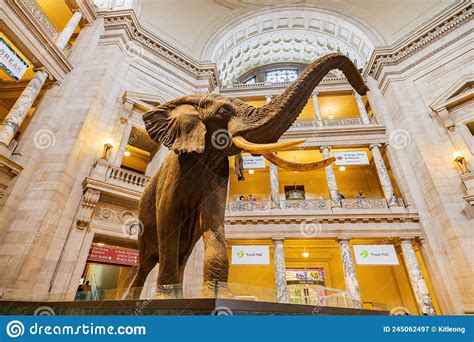 Smithsonian Museum 的图像结果