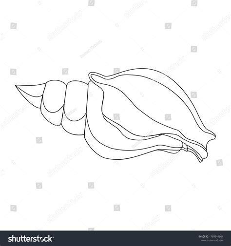 Image result for Shell Drawing Kit