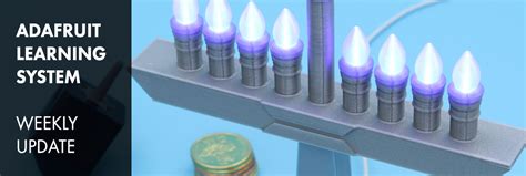 Image result for Function of Pyleap