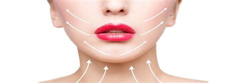 Image result for Tutorial Prophilo