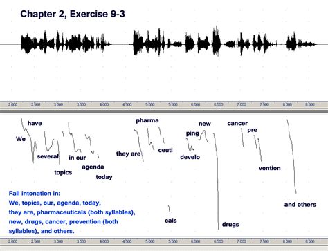 Image result for Intonation Scope Visual Display Screen