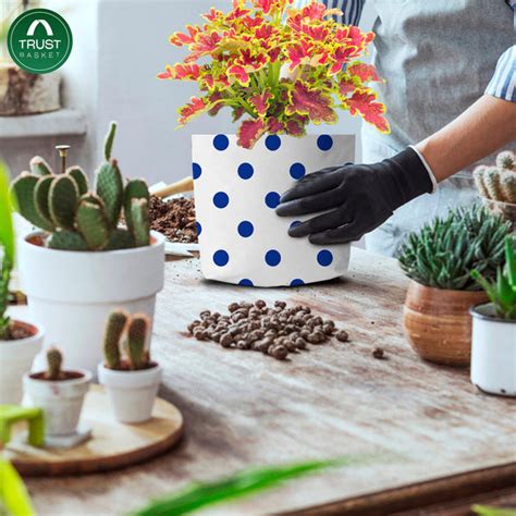 TrustBasket Indigo Anti Rust Metal Plant Stand (Set of 4 Black) - 24 i