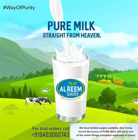 Al Reem Dairy Products - Milk - Ramanathapuram | Vkno - We Know