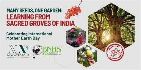 Many Seeds, One Garden: Learning from Sacred Groves of India, New ...
