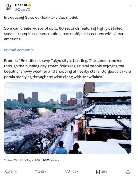 Openai Sora Prompt Engineering Examples 的图像结果