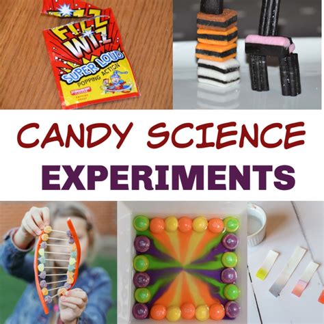 Grade 6 Science Experiments 的图像结果