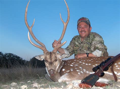 Axis - Pope Brothers Guide Service - Hunts in Texas