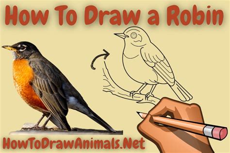 How to Draw a Swan Feet 的图像结果