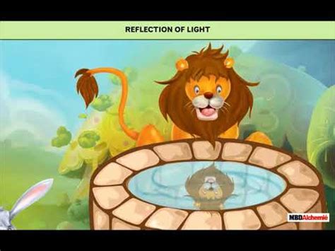 Light, Shadows and Reflections Video Lecture - Science Olympiad Class 6