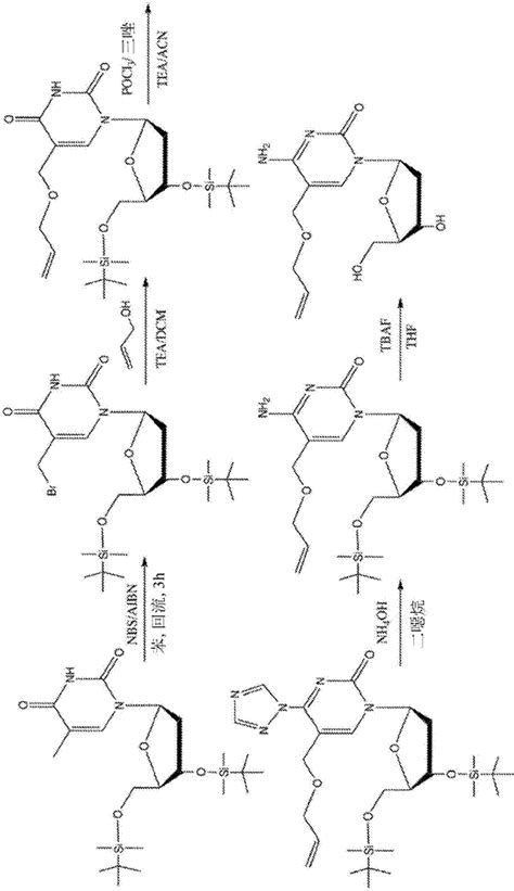 金属Zr催化的烯烃脱氢硼化和转移硼化反应取得新进展----兰州化学物理研究所羰基合成与选择氧化国家重点实验室