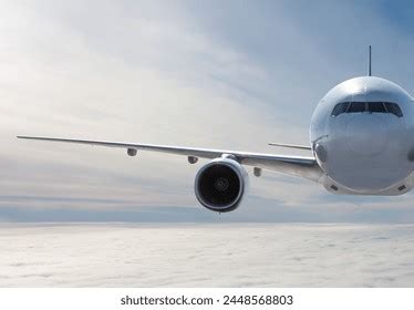 Fly Front View 的图像结果