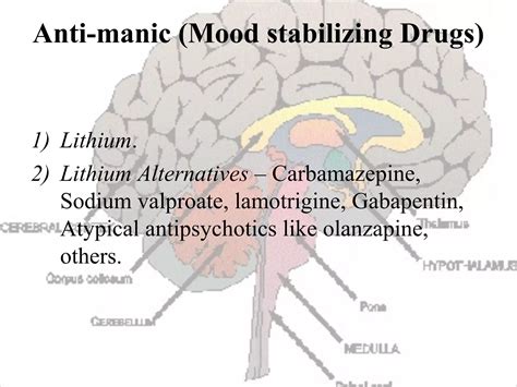 Classification drug act on nervous system | PPT
