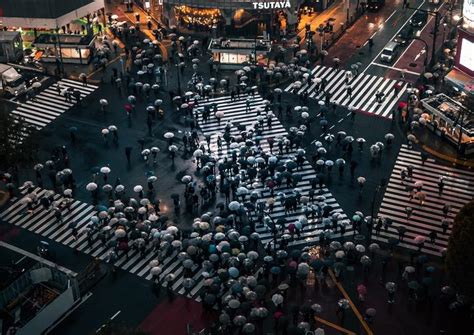 秩序 的图像结果