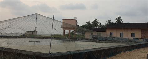 Central Marine Fisheries Research Institute | Home