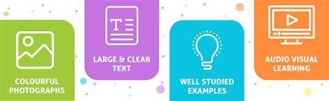 Buy Birds Chart for Kids | My First Early Learning Types of Birds ...